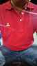 啄木鳥（TUCANO）短袖t恤男純棉商務(wù)休閑經(jīng)典翻領(lǐng)polo刺繡打底衫上衣男裝 紅色 2XL 曬單實(shí)拍圖