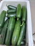 粵迎山東水果黃瓜精品嫩生吃脆新鮮荷蘭青瓜當(dāng)季無刺小黃瓜源頭直發(fā) 5斤 精選果【肉嫩鮮脆】凈4.5斤 曬單實(shí)拍圖