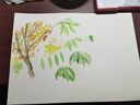 輝柏嘉（Faber-castell）固體水彩24色 固體顏料 便攜式水彩套裝 美術(shù)課必備升級(jí)版 576024美術(shù)寫生 曬單實(shí)拍圖