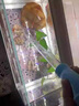京悠雨魚缸吸便器吸糞神器底部手動換水小型抽水管清理吸屎器洗沙過濾器 吸便器-藍(lán)色小號 曬單實拍圖