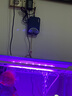 徹朗魚缸氧氣泵2w靜音增氧泵打氧泵小型加氧泵增氧機(jī)+單孔氣盤 曬單實(shí)拍圖