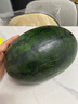 黑美人西瓜孕婦當(dāng)季水果新鮮包郵黑籽甜西瓜整箱 6-7斤超甜裝【1個(gè)裝】 曬單實(shí)拍圖
