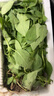 妙普樂荊芥菜新鮮 河南大葉荊芥葉菜調(diào)味涼拌菜莖芥 鮮嫩現(xiàn)挖現(xiàn)發(fā)帶根 現(xiàn)摘帶根荊芥 【1斤】 曬單實(shí)拍圖