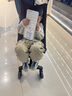 樂(lè )卡尼遛娃神器手推車(chē)超輕便可折疊大童口袋推車(chē)兒童嬰兒推車(chē)旅行傘車(chē) 紫色+輕至3.0KG 一鍵收+可上飛機 曬單實(shí)拍圖