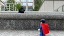 樂高（LEGO）積木超級英雄76301 蝙蝠俠與蝙蝠戰(zhàn)車男孩女孩兒童玩具生日禮物 曬單實拍圖