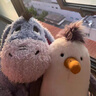 JELLYCAT正品英國(guó)Jellycat奇珀海鷗可愛(ài)柔軟毛絨玩具安撫玩偶公仔禮物送禮 奇珀海鷗均碼25cm 曬單實(shí)拍圖