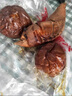 樂創(chuàng)（lecon）烤紅薯機(jī)商用 地瓜機(jī)全自動(dòng)街頭擺攤電熱地瓜玉米土豆燃?xì)庑⌒涂炯t薯烤梨雞機(jī)神器 【25年新款】智能定時(shí)+保溫-25斤產(chǎn)量 曬單實(shí)拍圖