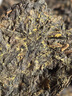 白沙溪 安化黑茶 茶葉 2021年份百兩茶花卷茶竹簍裝3625g 曬單實(shí)拍圖