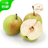 京鮮生 珍珠蜜梨 小香梨 3斤裝 單果100g+ 源頭直發(fā) 新鮮水果 曬單實(shí)拍圖