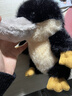 捉趣鴨嘴獸毛絨玩具可愛(ài)鴨玩偶桌伴公仔抱枕陪睡布娃娃女生生日禮物 鴨嘴獸 全長(cháng)約19.5cm 曬單實(shí)拍圖
