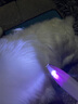 洽苒貓咪狗狗剃毛器電推剪剪毛神器貓修腳毛電動(dòng)推子寵物專(zhuān)用剃腳毛器 【5代升級續航快充款】牛油果綠 五代升級 適應全生活場(chǎng)景 曬單實(shí)拍圖
