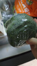 西蘭花約450g 曬單實拍圖