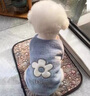 阿莫爾小狗狗衣服秋冬款可愛花朵保暖泰迪比熊博美幼犬貓咪寵物加厚絨衣 灰色花朵 S 曬單實(shí)拍圖