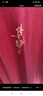 GLMt恤男春夏季簡(jiǎn)約純棉吸汗紅色短袖寬松大碼休閑運(yùn)動(dòng)男士打底衫 曬單實(shí)拍圖