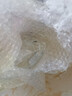 樂美雅小號(hào)家用玻璃瓶子茶葉罐透明防潮密封罐雜糧儲(chǔ)物罐食品儲(chǔ)存罐帶蓋 小號(hào)500ml/單只 曬單實(shí)拍圖