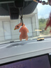 溫詩歐變色烤鴨掛件車載汽車遇紫外線溫感變色后視鏡裝飾掛飾小禮品 變色烤鴨-一個(gè)裝 曬單實(shí)拍圖