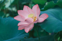 富士（FUJIFILM）XT30  XT4 XT5 XT200 XT100 20 復古二手微單相機 富士XT30 II機身 99成新 曬單實拍圖
