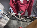 喜德盛公路自行車2025款A(yù)D300油碟鋁合金車架成人男女士通勤上班騎行車 白蛇 510mm建議身高（170-180cm） 曬單實(shí)拍圖