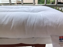 富安娜兒童 枕頭芯學(xué)生枕芯 可水洗枕頭純棉面料水洗枕學(xué)生款 60*38cm 曬單實(shí)拍圖