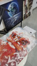 溫莎牛頓【弗洛伊德同品牌】歌文水彩顏料戶外寫生水彩管狀繪畫顏料12色管進(jìn)階套 曬單實拍圖