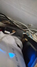 Tenda騰達16口千兆交換機 桌面型鋼殼機架式 企業(yè)工程監(jiān)控網(wǎng)絡轉換器網(wǎng)線分線器 分流器 TEG1016D 曬單實拍圖