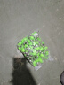 ?？柒忚K釣魚防甩防掉海竿拋竿夜光燈感應(yīng)夜釣路亞魚竿配件海桿報(bào)警器 雙響鈴鐺100個(gè) 曬單實(shí)拍圖