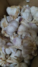 精選新鮮山東大蒜干蒜多瓣蒜頭蔬菜批發(fā)產(chǎn)地直發(fā)大蒜頭 優(yōu)選 5斤 (果徑≥3.5cm) 曬單實(shí)拍圖