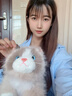 嬰果小島會叫的仿真布偶貓咪玩偶小貓毛絨玩具兒童陪睡睡覺抱娃娃生日禮物 棕色布偶貓【可以喵喵叫】 45厘米 曬單實拍圖