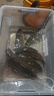沃鼎王者神劍三代魚竿超輕綜合輕量大物竿鯽魚竿釣魚竿魚桿手竿臺(tái)釣竿 6.6m 【無畏大物 力量掌控】6.5H 曬單實(shí)拍圖