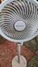 艾美特（AIRMATE）【小暴風(fēng)】空氣循環(huán)扇大風(fēng)量搖頭電風(fēng)扇家用臺(tái)式落地扇升級(jí)加高換氣輕音柔風(fēng)小風(fēng)扇 FA18-X115 曬單實(shí)拍圖