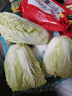 【超市品質(zhì)】新鮮精品娃娃菜現(xiàn)砍現(xiàn)發(fā)小包裝新鮮蔬菜生鮮產(chǎn)地直發(fā) 新鮮娃娃菜1*(3棵)*1包 曬單實(shí)拍圖
