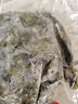 大連裙帶菜 鮮海帶非干貨海帶嫩苗兒童海菜海白菜海藻菜涼拌 裙帶菜嫩葉500g 曬單實拍圖