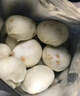 悅味紀(jì) 嵊州老面鮮肉大包420g 6只 手工肉包子 早餐半成品 速食  曬單實(shí)拍圖