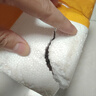 青蘋果高檔涼水壺玻璃耐高溫家用大容量高硼硅加厚儲(chǔ)水泡茶冷水壺 中式圓趣壺2100ml【胡桃木蓋】 曬單實(shí)拍圖