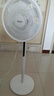 格力（GREE）【雙層擴風(fēng)扇葉】立式電風(fēng)扇大風(fēng)量家用落地扇廣角搖頭定時遙控電扇臺地兩用落地扇 FSZ-30X65Bg7 曬單實拍圖