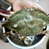 梭子蟹鮮活速凍公蟹蟹飛蟹白蟹海蟹公蟹母蟹隨機發(fā) 鮮活速凍梭子蟹2斤裝 3-4兩左右一只 曬單實(shí)拍圖