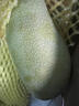 【肉厚芒】廣西金煌芒大青芒 2斤【單果200g+】 曬單實(shí)拍圖