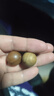 福進(jìn)家正品天然綠檀木散珠手串文玩佛珠飾品手工DIY珠子復(fù)古手鏈禮物 沉水級(jí)老綠檀18MM*1顆 曬單實(shí)拍圖