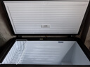 海爾（Haier）冰柜零下-40度超低溫冰柜商用大容量冰柜海鮮速凍柜細胞級冷凍柜家用大容量冰柜一級能效減霜80% 308升新升級-35度速凍+星蘊銀新外觀 308L 曬單實拍圖