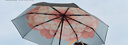 蕉下（beneunder）防紫外線遮陽傘三折雙層黑膠晴雨傘防曬傘BM664花椿 曬單實拍圖