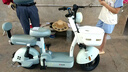 臺鈴電動自行車【國家補(bǔ)貼】小錦鯉50公里長續(xù)航電動車鉛酸電池48V13Ah電瓶車新國標(biāo)碧波綠 曬單實(shí)拍圖