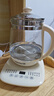 九陽(yáng)（Joyoung）0膠水養(yǎng)生壺 1.5L煮茶器 玻璃花茶壺 316不銹鋼燒水壺電熱水壺 WY301 曬單實(shí)拍圖