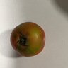 彩虹雨【基地直發(fā)】有機(jī)西紅柿番茄有機(jī)認(rèn)證蔬菜歐盟認(rèn)證北京有機(jī)農(nóng)場 有機(jī)西紅柿 4斤 曬單實(shí)拍圖
