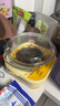 CCKO碗 耐熱玻璃烤盤微波爐專用家用蒸蛋碗帶蓋沙拉碗泡面碗具大湯碗 【2只裝】1000ml玻璃碗 曬單實(shí)拍圖