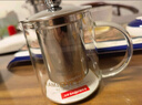 金灶（KAMJOVE）茶壺飄逸杯 功夫茶壺 茶水分離玻璃泡茶壺辦公室茶具過濾花茶壺 A-01【350ml】 曬單實拍圖