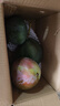 京鮮生 攀枝花凱特芒果 凈重4.5斤 單果600g 水果 源頭直發(fā)【搜生鮮館】 曬單實(shí)拍圖
