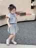 可英 GOWINBABY女童套裝兔子套裝半身裙2025夏季裙子兒童T恤女寶可愛(ài)公主裙 灰色 100 cm 曬單實(shí)拍圖