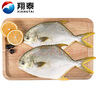 翔泰海南深海金鯧魚700g 2條 燒烤 火鍋 生鮮魚類 BAP認證 海鮮水產(chǎn) 曬單實拍圖