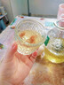 玻璃冷水壺套裝家用涼水壺杯夏季冷飲冰鎮(zhèn)果汁壺加厚冷泡茶壺 一壺一杯【570ml+200ml】 曬單實(shí)拍圖