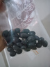 食用蓮藕種根苗水果藕蓮藕種子荷花種 深淺水藕盆栽水養(yǎng)缸桶水田 高產(chǎn)甜脆蓮藕種子30粒 曬單實拍圖
